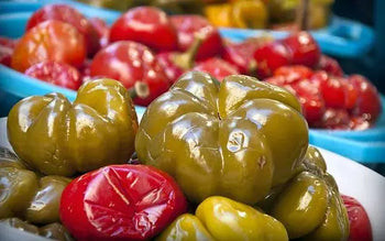 Papacelle Napoletane