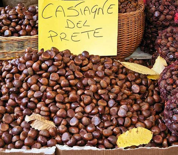 Castagne del Prete di Montella – Qualità Superiore