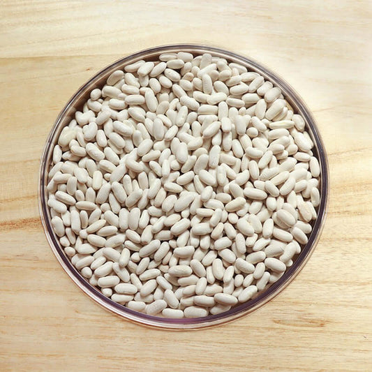 Fagioli Cannellini Secchi