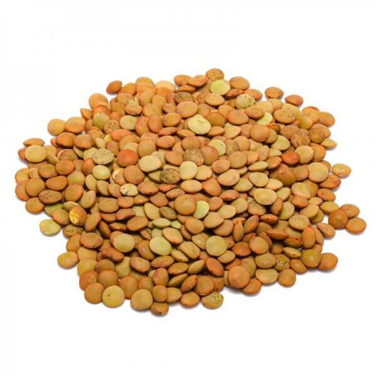 Lenticchie USA