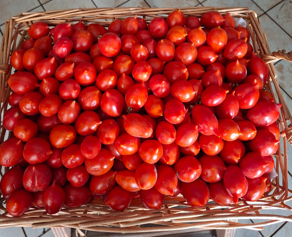 Pomodori del vesuvio sfusi